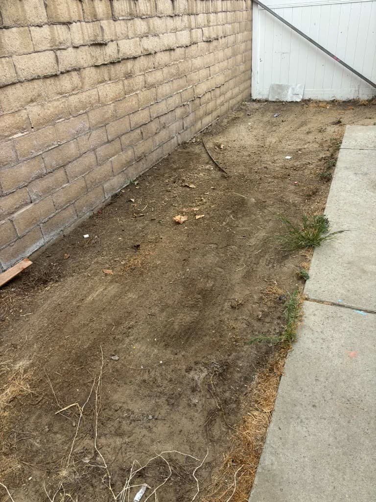 Sandoval Commercial Disposal project 10