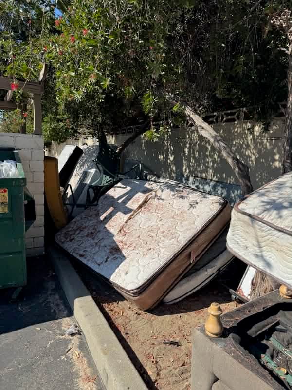 Sandoval Commercial Disposal project 20