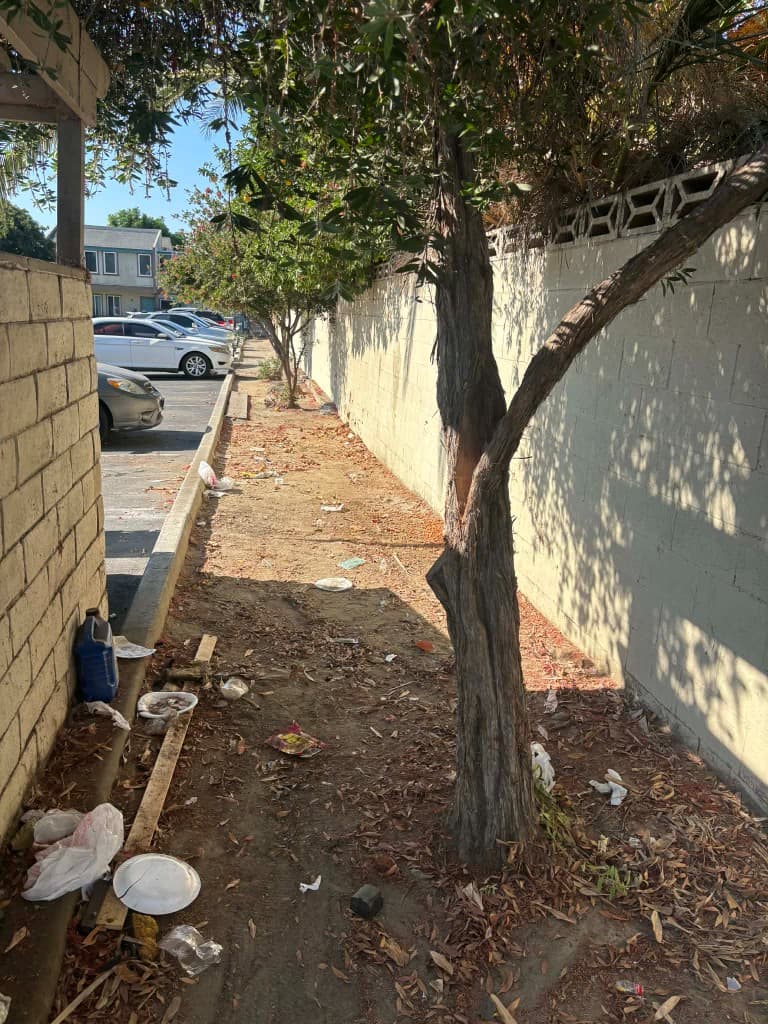 Sandoval Commercial Disposal project 24